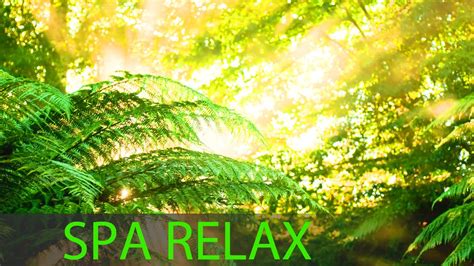 8 Hour Meditation Music Relax Mind Body Spa Music Background Music Massage Music ☯218 Youtube