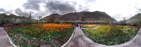 Tulip Garden Festival Gachsar 360 Panorama 360cities