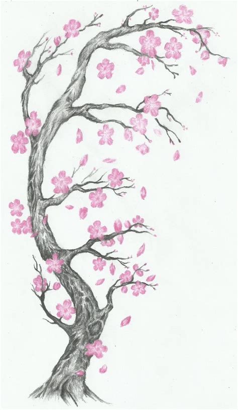 Cherry Blossom Tree Branch Design Realistic Sakura Blossom Japanese