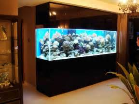 built in saltwater fish tanks Quotes