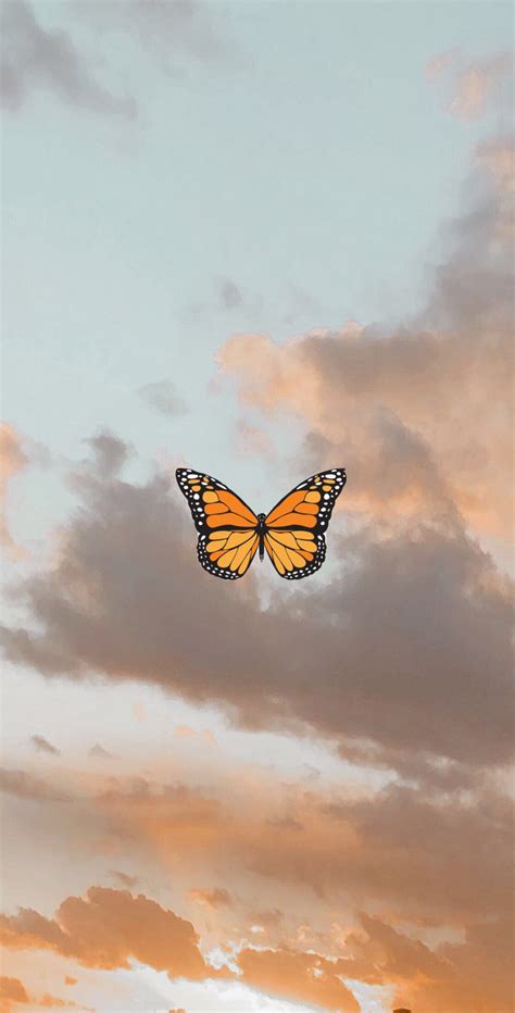 Teenage Vsco Teenage Aesthetic Blue Butterfly Wallpaper Download Free