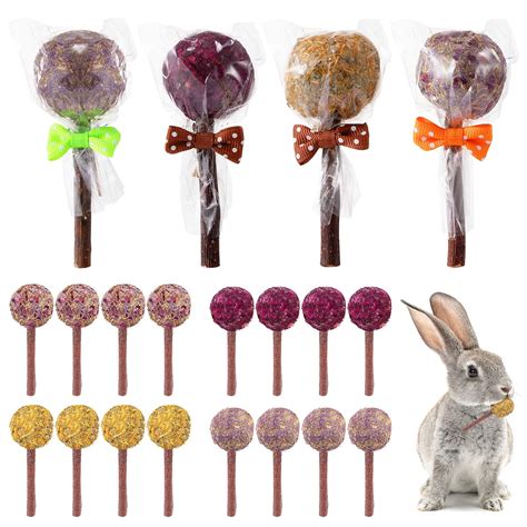 buy 16 pcs rabbit lollipop chew toys natural flower flavored timothy hay sticks in 4 types