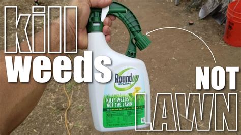 Roundup Spray For Killing Crabgrass Review Lucky 7 Landscapes Youtube
