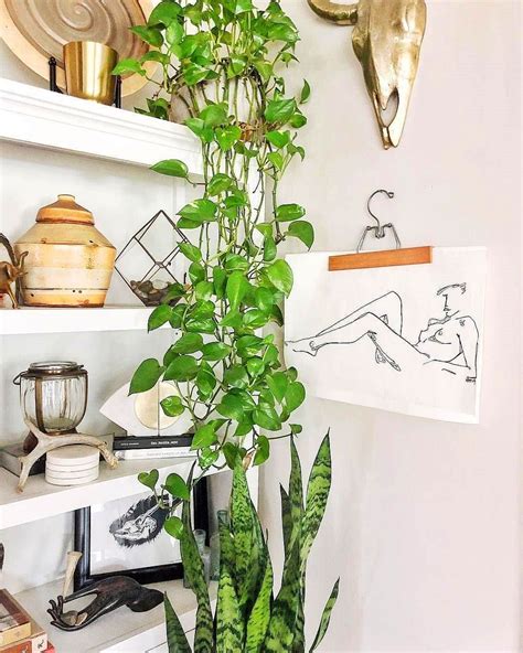60 Beautiful Indoor Plants Design In Your Interior Home Indoor