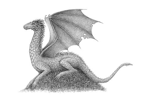 How To Draw A Dragon With Pen And Ink