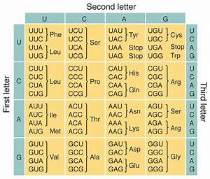 Universal Genetic Code