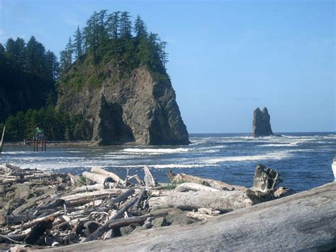 An Ocean View With Rocks And Trees In The Foreground And Another Rock
