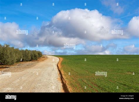 Cereal Road Hi Res Stock Photography And Images Alamy