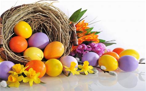 ΠΑΣΧΑ Photos Wallpapers ανανεωμένο Egg Pictures Eggs In A Basket