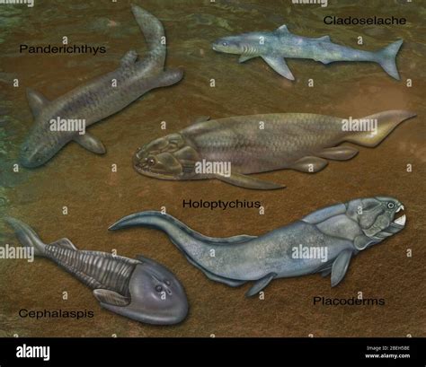 Prehistoric Fishes Illustration Stock Photo Alamy