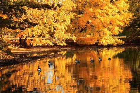 Free Download Wallpapers Beautiful Autumn Landscapes Colorful Fall