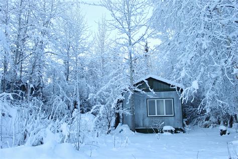 Free Images Tree Forest Snow Cold White House Frost Home Ice