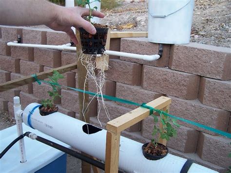 Build your own hydroponic systems list of free hydroponic system design plans. 1668 best images about Aquaponics/Hydroponics/Irrigation on Pinterest | Sump, Hydroponic systems ...