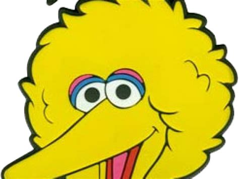 Big Bird Face Png Png Image Collection