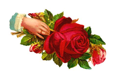 Antique Images Free Digital Red Rose Image Of Victorian Hand Whimsy