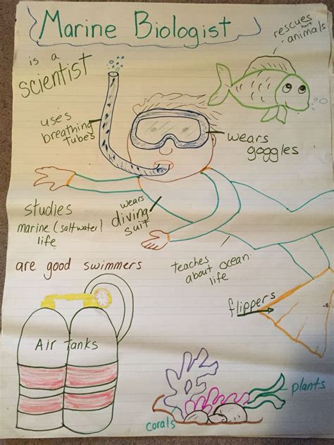 Marine Biologist Anchor Chart Classroom Charts Preschool Classroom