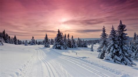 Cross Country Ski Tracks At Sunset Near Lillehammer Norway Windows