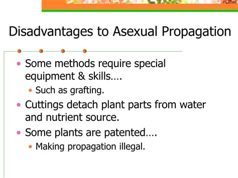 Disadvantages Of Asexual Reproduction In Plants