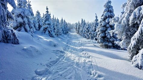 Winter Mountains Snow Free Photo On Pixabay Pixabay