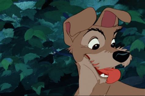 Favourite Character From Lady And The Tramp Poll Results Classic