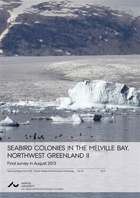 Pdf Seabird Colonies In The Melville Bay Northwest Greenland Ii Final Survey In August