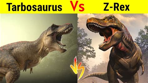 Tarbosaurus Vs Zhuchengtyrannus किस Dinosaur की होगी जीत Youtube