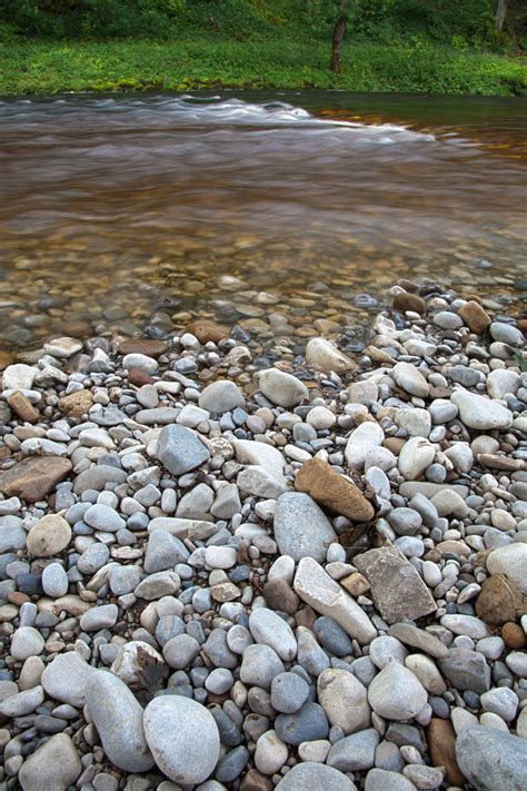Pebbles And River Free Stock Photo Public Domain Pictures