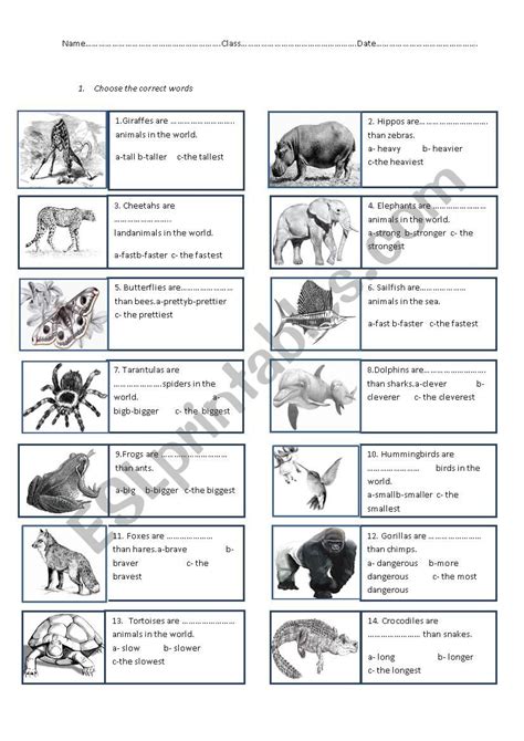 Comparatives And Superlatives Animals Esl Worksheet By Lucytykholiz