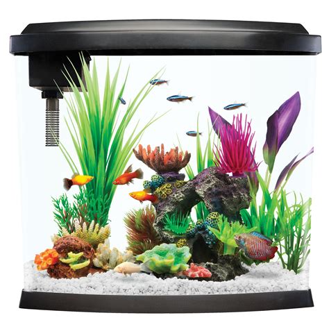Top Fin® Split Bowfront Aquarium 5 Gallon Fish Starter Kits Petsmart