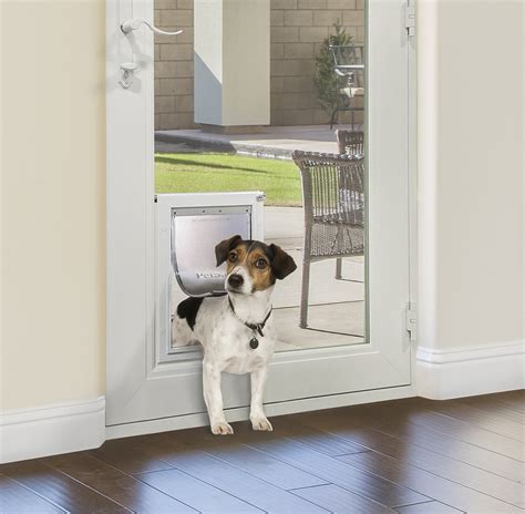 In Glass Doggy Door Install Pet Door Diy Doggy Door By Pet Door
