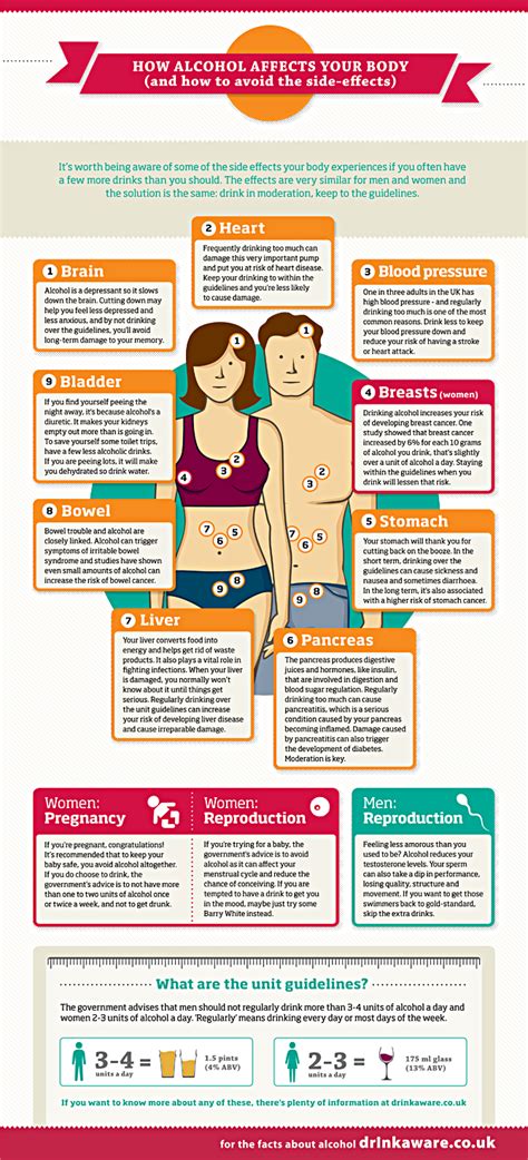 Alcohol And The Body Infographic Another Reason To Stop Drinking Alcohol Is The Dreaded Muffin