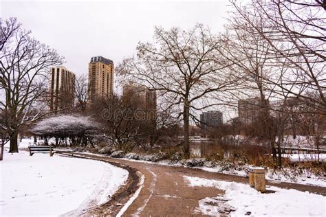 Winter Scene In Lincoln Park Chicago Near North Pond With Snow Stock