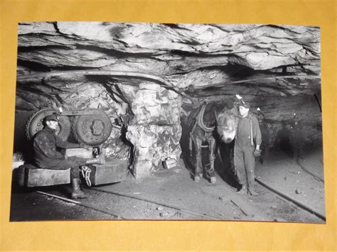 Coal Miners 1911 Miner Pit Pony Rare Vintage Photo Tin Mine Etsy