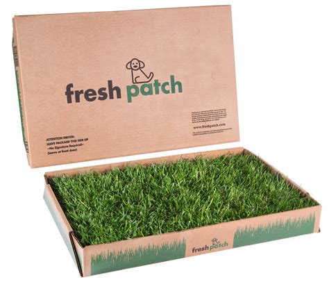 What is the best dog potty grass? FRESH PATCH: The Official Real Grass Dog Potty and Training Website