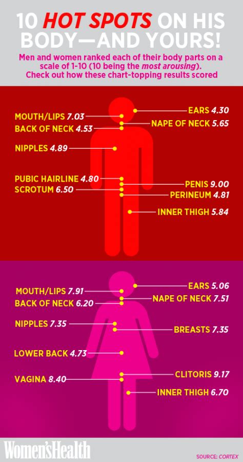 Zones Of The Male Sexual Excitement Curve And An Exam