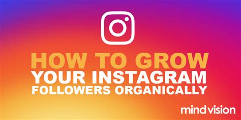 How To Grow Instagram Followers Lasopabooster