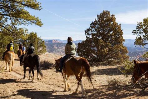 Bryce Canyon Horseback Ride In The Dixie National Forest Getyourguide