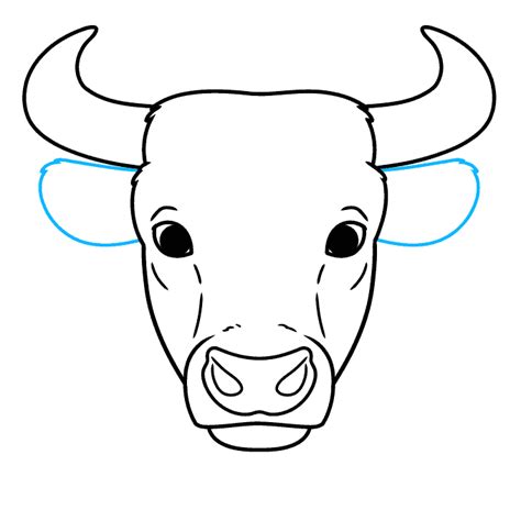 How To Draw A Bull Head And Face Really Easy Drawing Tutorial