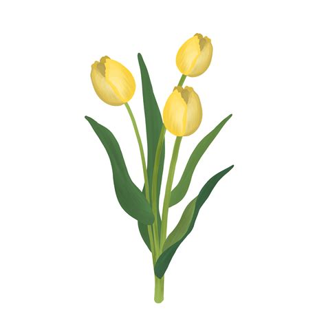 Free Beautiful Bunch Of Yellow Tulip Flower Illustration 14322777 Png