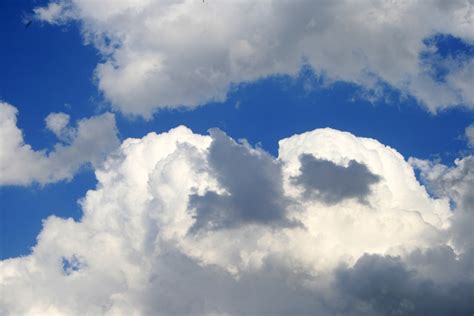 Little Clouds Floating By Free Stock Photo Public Domain Pictures