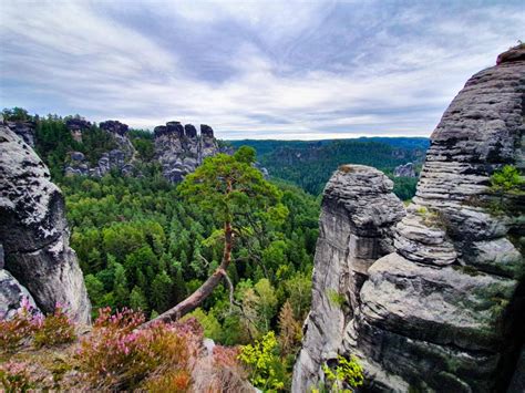 12 Reasons To Visit Saxon Switzerland National Park 2024 Travel