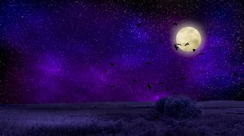 Wallpaper Full Moon Starry Sky Birds Night Photoshop Hd