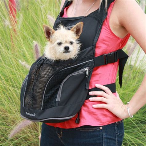 Sure, there are a bunch of easels you can buy online. Front Pouch Dog Carrier | Dog backpack carrier, Dog backpack, Dog carrier