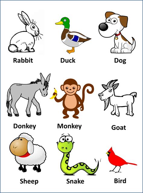 ¿como Se Escriben Los Nombres De Los Animales En Ingles Respuestastips