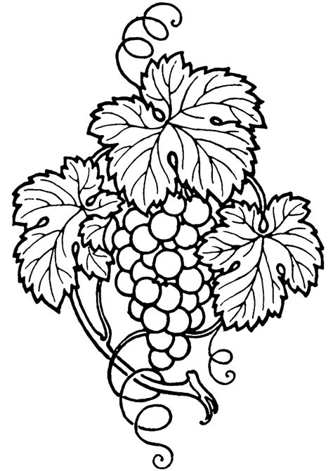 Grape Vine Line Art Clip Art Library