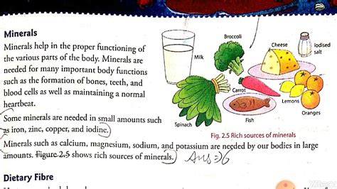 Chapter 2 Components Of Food Lecture 2 21 05 20 Youtube