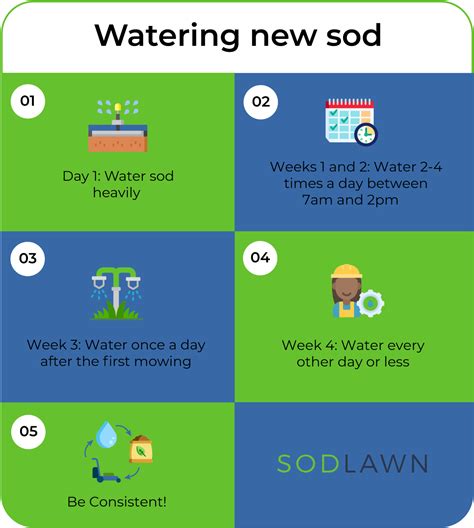Watering New Sod Sodlawn