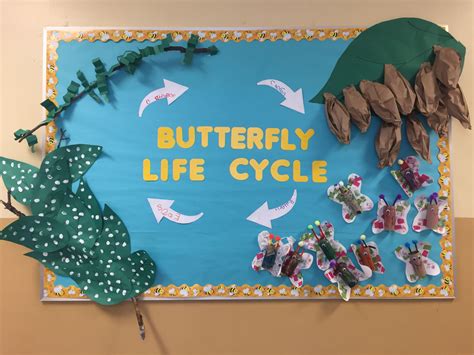 Pre K Insect Study Bulletin Board For Creative Curriculum Preschool