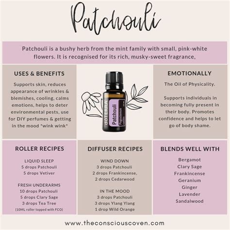 All About Patchouli Essential Oil Uses And Benefits Of Patchouli