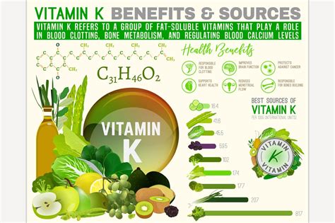 Vitamin K Infographic Custom Designed Illustrations Creative Market